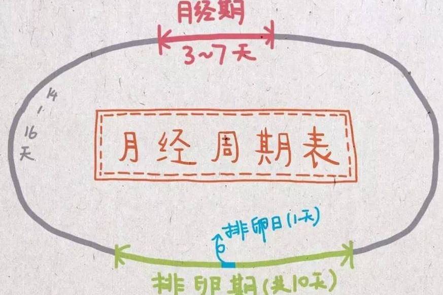 月經不調的人是不是不容易懷孕？