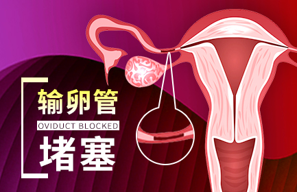 輸卵管堵塞是怎么回事?還能懷BB嗎?